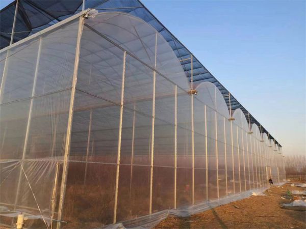 連棟溫室大棚的概述和結構